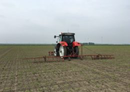 30 & 31 mei 2016: bieten proefveld dunnen