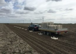 22 april 2016: proefveld aardappels Semagri gepoot