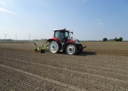 13 mei 2016: rugopbouw aardappelen