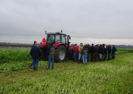 7 november 2016: demonstratie groenbemesters