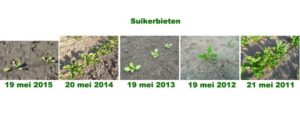22 mei 2016: gewasgroeivergelijking laatste 6 jaar