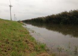 In de Overijsselse tocht, die achterlangs ons bedrijf loopt, staat het water enkele cm's boven de beschoeiing. Voorlopig blijft het wisselvallig. Er moet nog veel gebeuren op het land. Wintertarwe moet gezaaid worden en er moet nog geploegd worden.