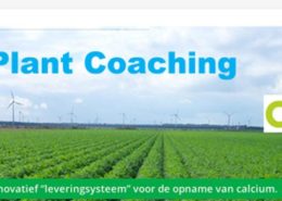 Webiste gemaakt voor Plantcoaching