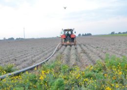 17 september 2014; door droogte te veel rooibeschadiging aardappelen