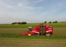 21 september 2017; suikerbieten rooien