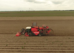 16 augustus 2018; pootgoed rooien door loonbedrijf Witkop