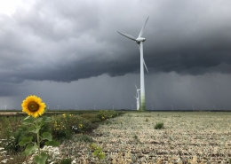 30 augustus 2018; droogte tijdelijk voorbij