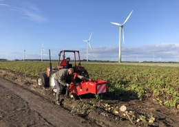 24 augustus 2018; Oogst aardappel proefveld Royal Zap