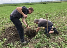 28 augustus 2018; Zicht op de bodemstructuur Fase 2