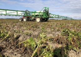 31 augustus 2018; 4e proefrooiing aardappelen, ras is Innovator