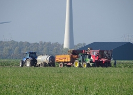 17 oktober 2018; proefveld suikerbieten rooien