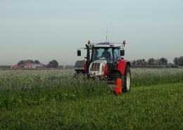 7 november 2018; groenbemester klepelen