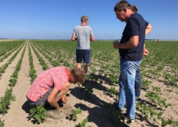 28 juni 2019; soja telersbijeenkomst