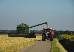 5 juli 2019; wintergerst oogst