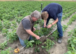 16 juli 2019; Zicht op de bodemstructuur