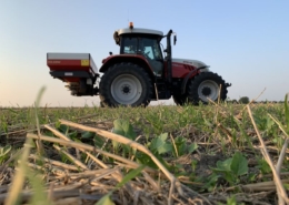 26 augustus 2019; bemesten solarigol groenbemester