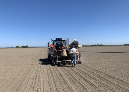 6 en 7 mei 2020; suikerbieten proefveld zaaien