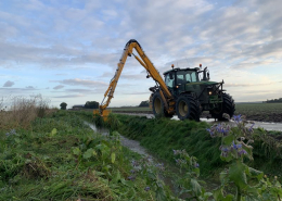 9 oktober 2020; maaikorven