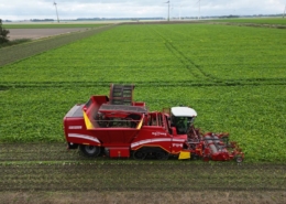 17 september 2024; suikerbieten rooien