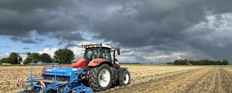 9 en 10 september 2024; bladrammenas groenbemester zaaien