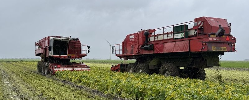 27 september 2024; Oogst Dutch Edamame sojaboontjes