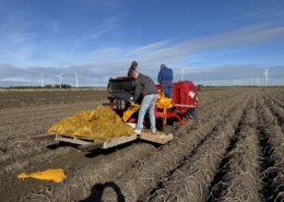 30 september 2024; oogst aardappel proefveld Sloots Agri